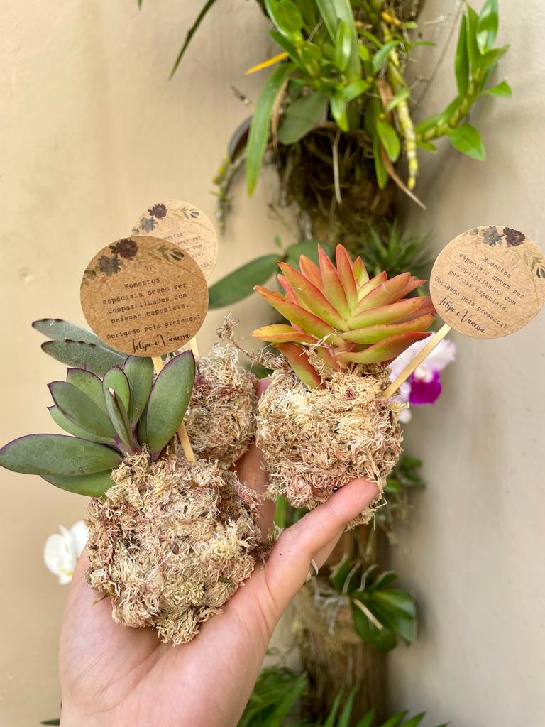Mini Kokedama